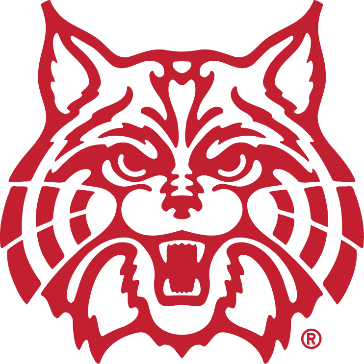 Arizona Wildcats 1990-Pres Secondary Logo 02 vinyl decal